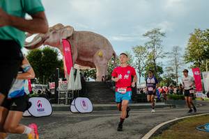 BIB: 
                            <button type="button" onclick="openModal(26529188)" class="btn btn-primary btn-sm float-right btn-popup" data-toggle="modal" data-target=".modal-high-quality">
                        <i class="fas fa-shopping-cart"></i> Add to Cart
                    </button>
                                            <button type="button" onclick="isThisMe(26529188, true)" class="btn btn-success btn-sm float-right btn-popup btn-isme hidden" data-toggle="tooltip" data-placement="bottom" title="นี่คือรูปของคุณใช่ไหม คลิกที่นี่เพื่อเอาเข้าอัลบั้ม">
                        <i class="fas fa-plus"></i> Add to album
                    </button>
                    <button type="button" onclick="isThisMe(26529188, false)" class="btn btn-warning btn-sm float-right btn-popup btn-isnotme hidden">
                        <i class="fas fa-ban"></i> Remove from album
                    </button>